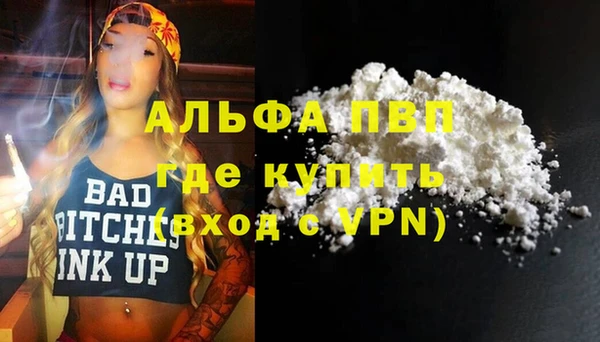 твердый Иннополис
